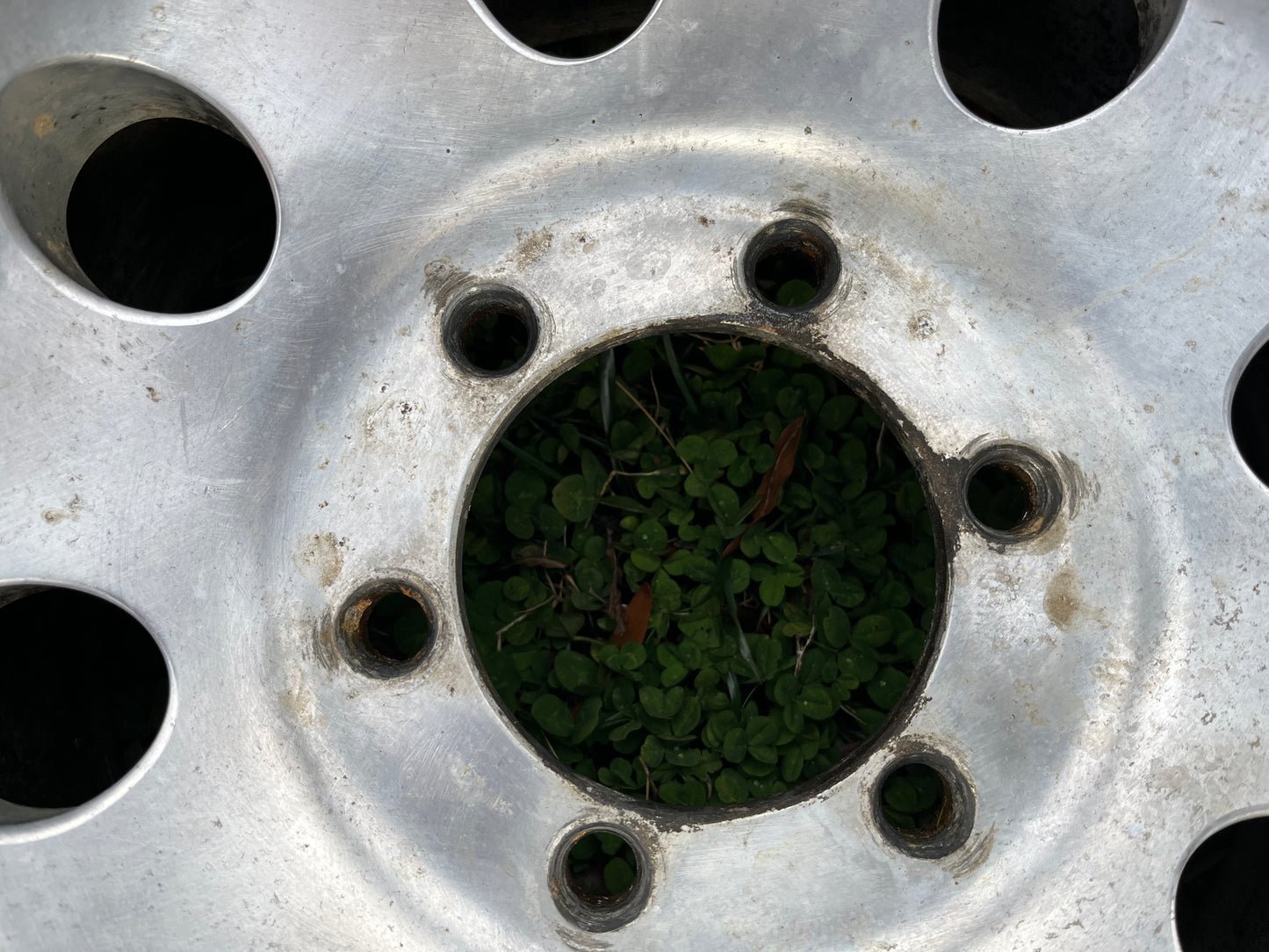 15” Alcoa Forged wheels