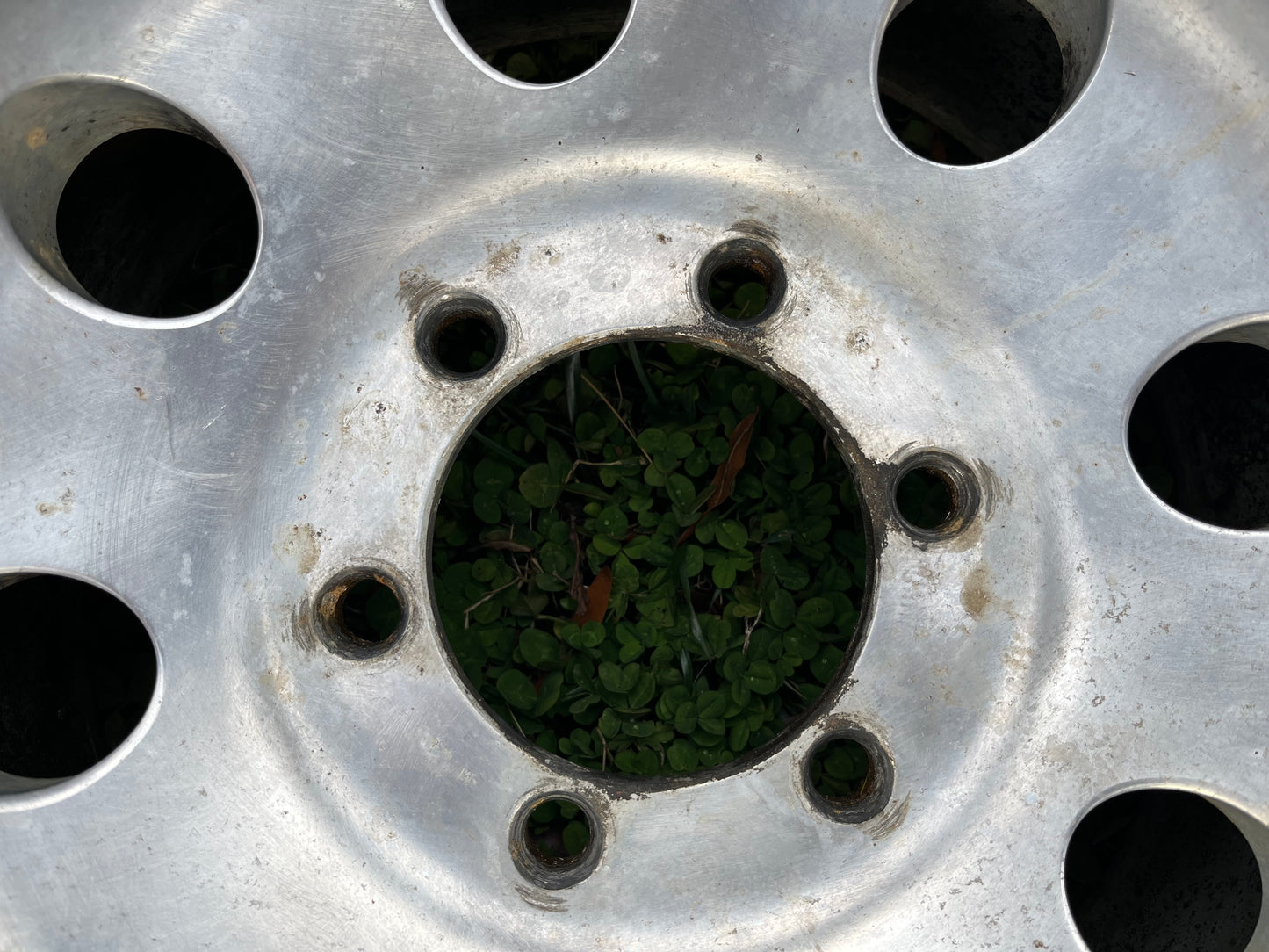 15” Alcoa Forged wheels